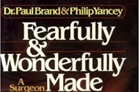 A miraculous creation: the human body made of bones and skin, cells as awseome our solar system. A discovery that we are as the psalmists words say, "fearfully and wonderfully made".